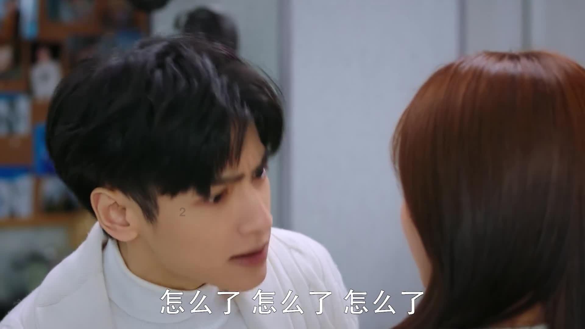 动物帮帮忙保卫家园